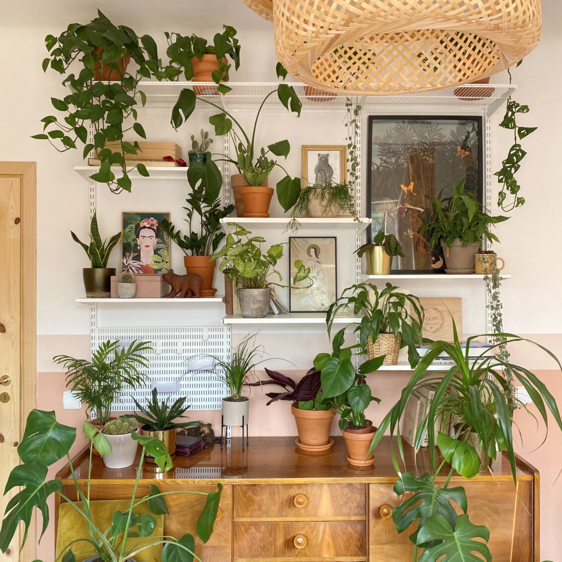 Valkoinen Classic by Elfa -hylly, jossa on paljon vihreitä kasveja ja koristeita lipaston yläpuolella.