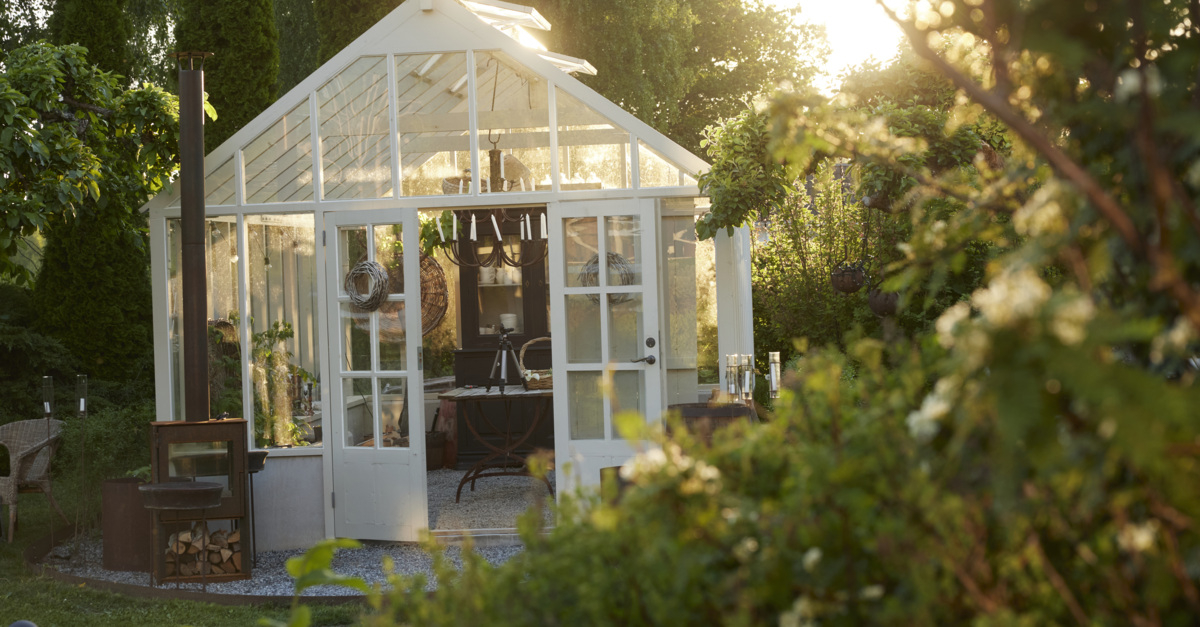 Veksthus omgitt av grønt i kveldssolen.