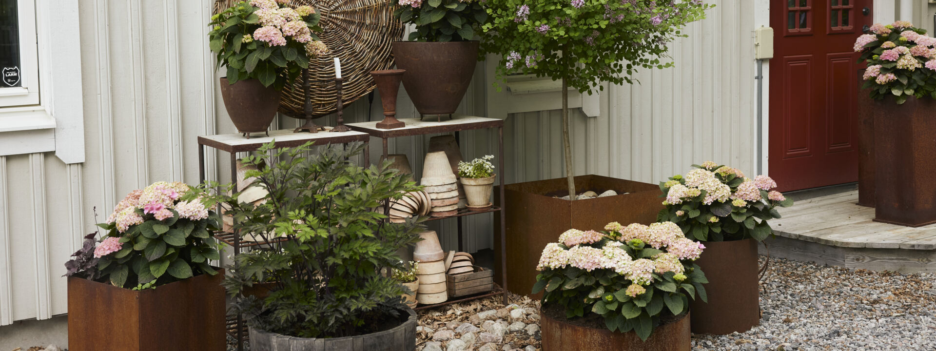 Potter og planter i ulike størrelser foran huset.