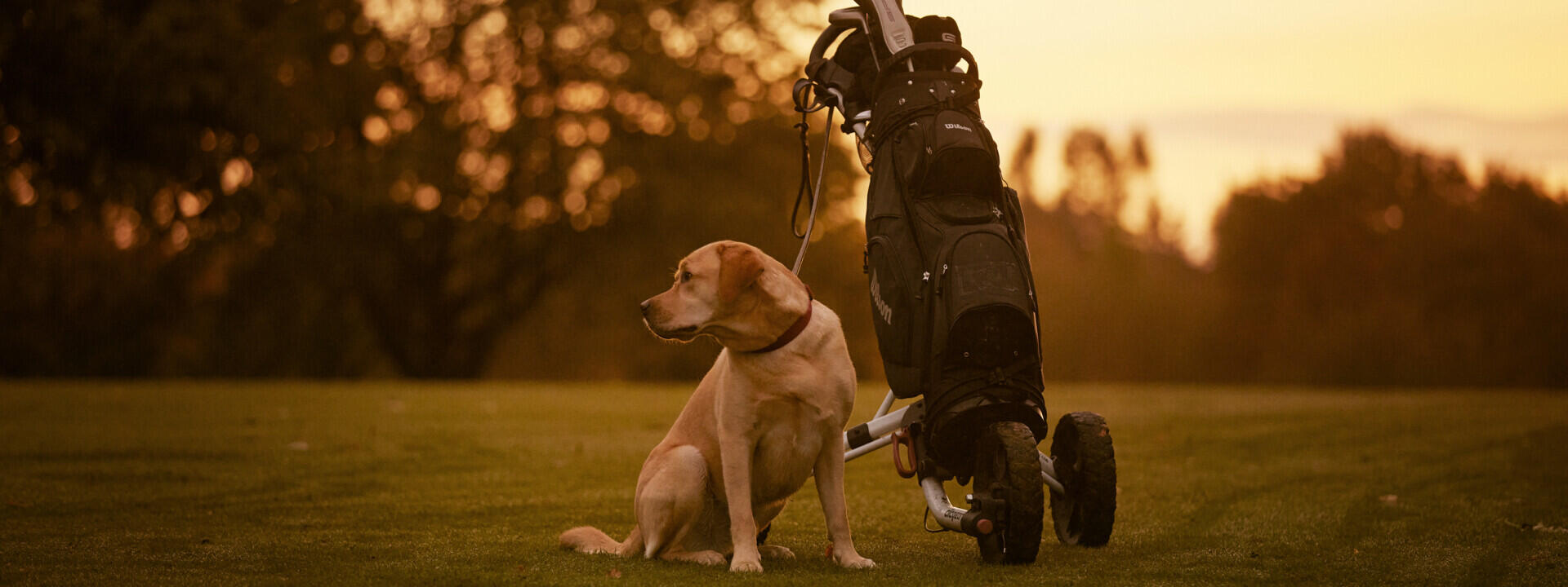 The golf passion needs storage for the golf club
